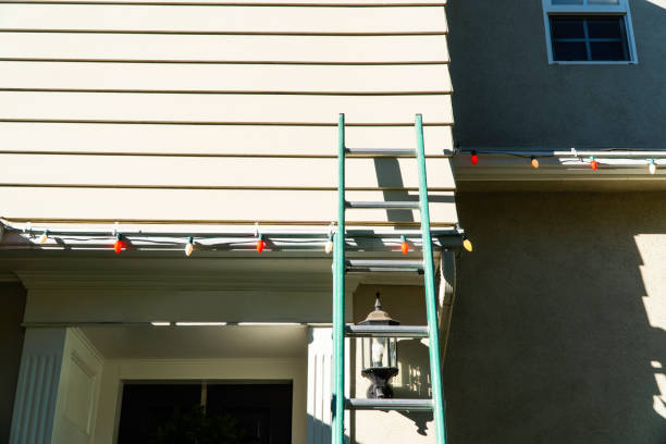 Best Custom Siding Design  in Somerville, NJ