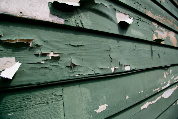 Best Fascia and Soffit Installation  in Somerville, NJ
