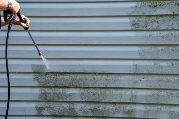 Best Siding Replacement  in Somerville, NJ
