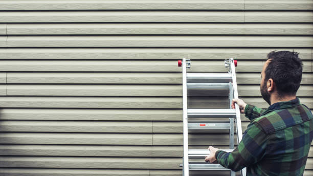 Affordable siding repair and maintenance services in Somerville, NJ