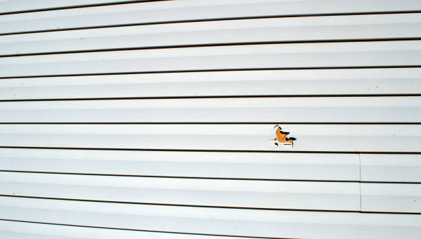 Best Fiber Cement Siding Installation  in Somerville, NJ
