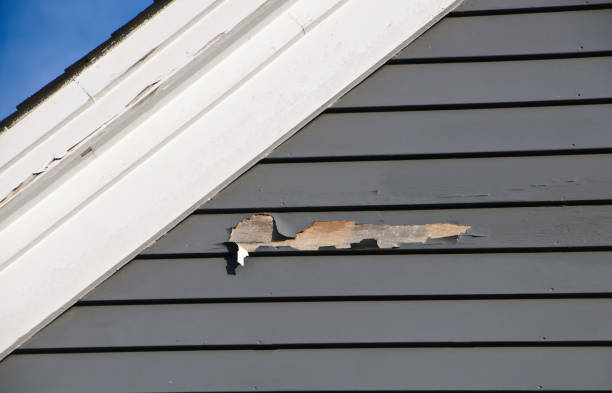 Professional Siding Installation & Repair in Somerville, NJ
