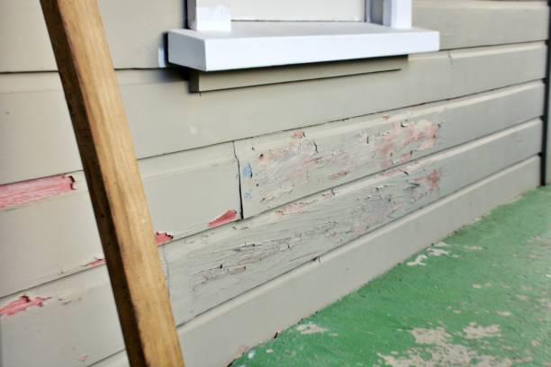 Best Stone Veneer Siding  in Somerville, NJ